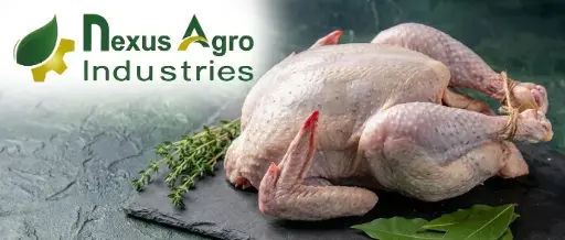 [SER-PO-0A-1264] Viande de Pintade